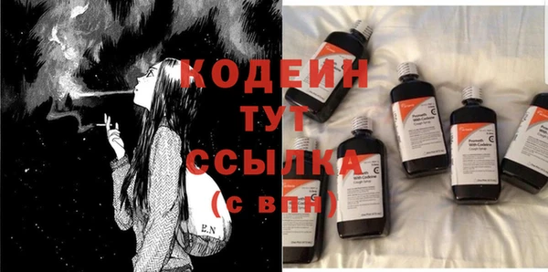 гидра Верхний Тагил